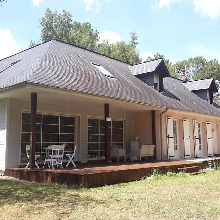 B&B La Foret De Charmeuse Ruaudin Exterior foto