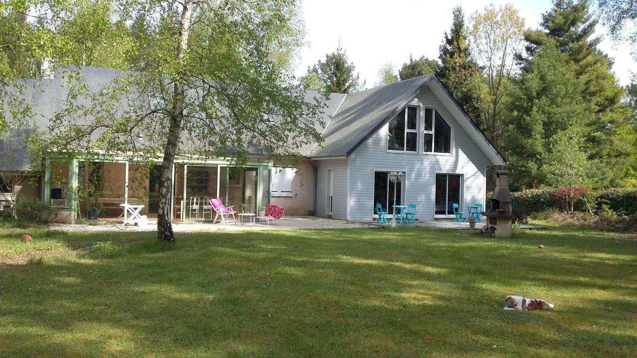 B&B La Foret De Charmeuse Ruaudin Exterior foto